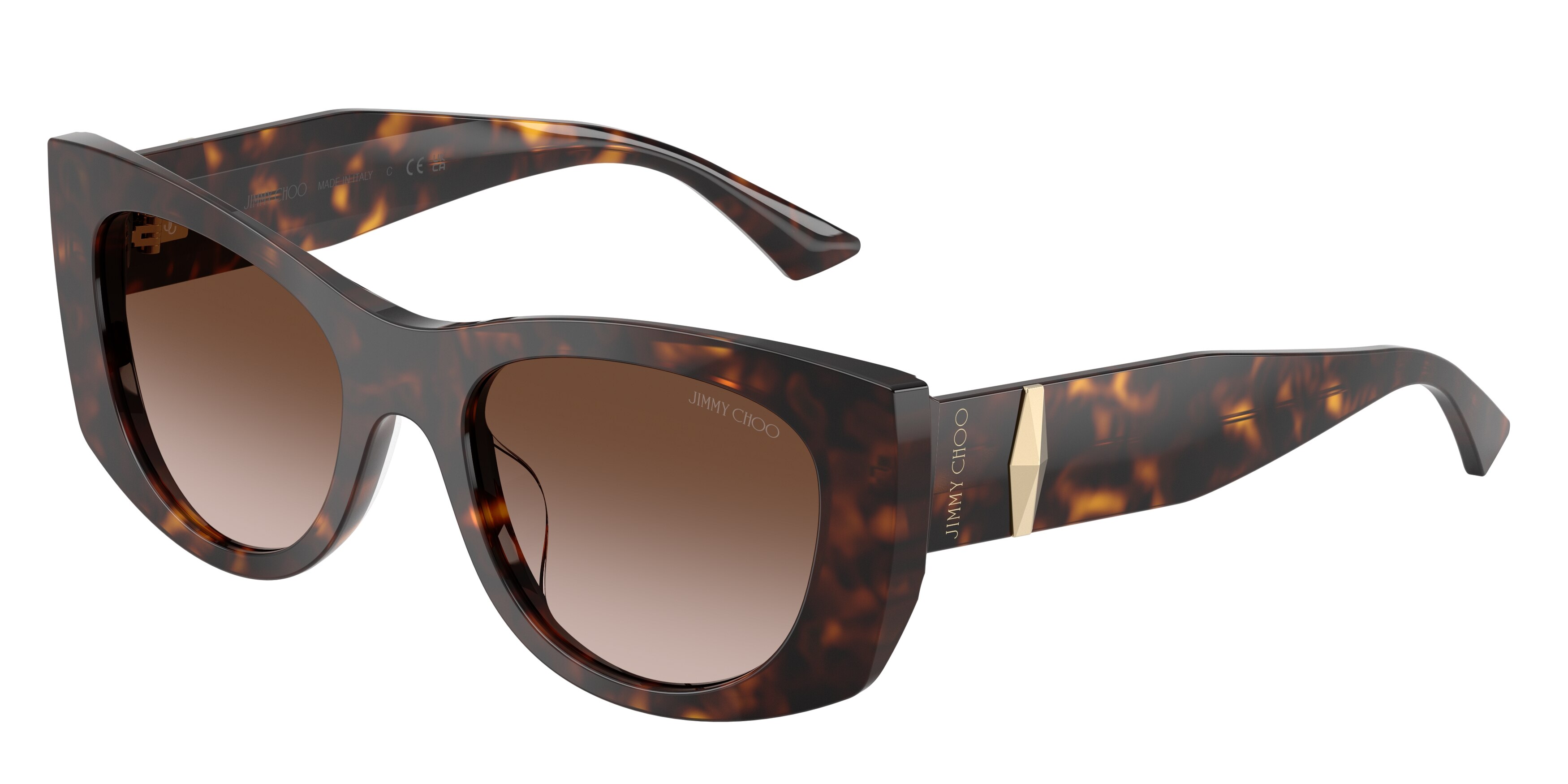 Jimmy Choo JC5066U 500213  